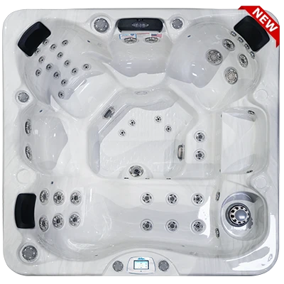 Avalon-X EC-849LX hot tubs for sale in Huntersville